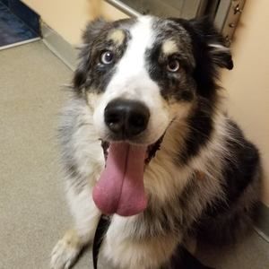 Meet your Posher, Jeff